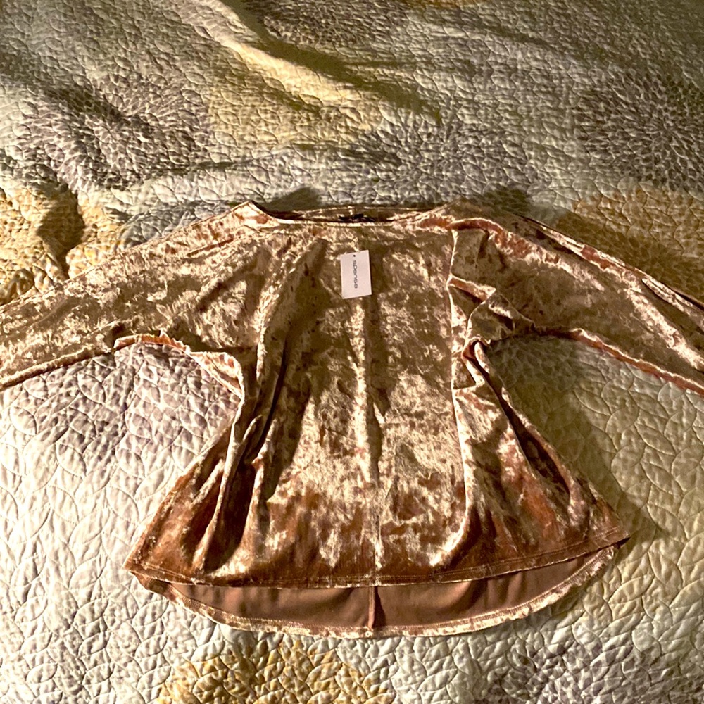 Crushed Velvet Blush Blouse